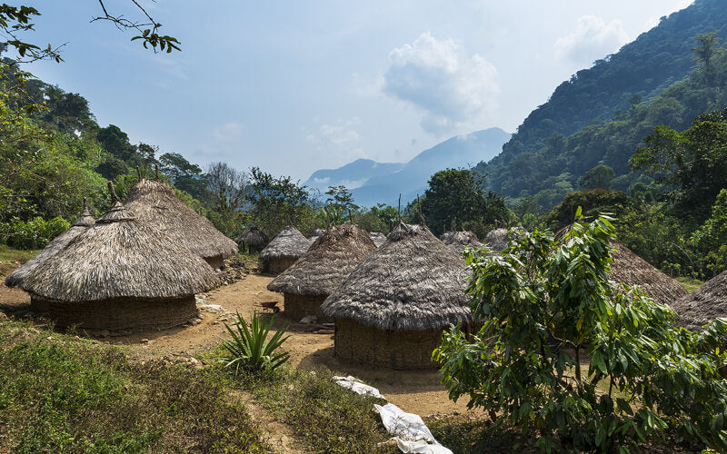 A message from the Elder Arhuaco Mamos